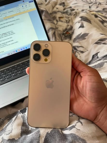 iPhone 13 Pro Max photo 1