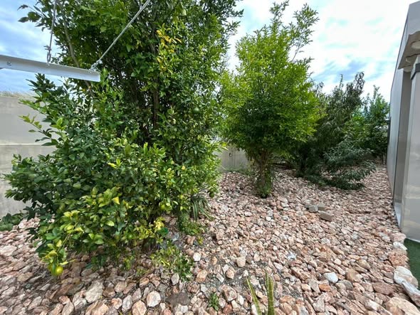 4 BED 4 RENT ELISENHEIM photo 1
