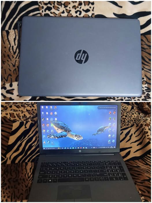 HP 255 G7 Notebook PC photo 1