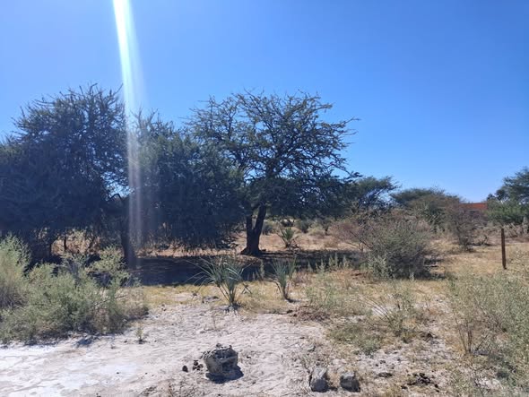 2000 Square Meters Plot,Okapuku Omuthiya photo 5