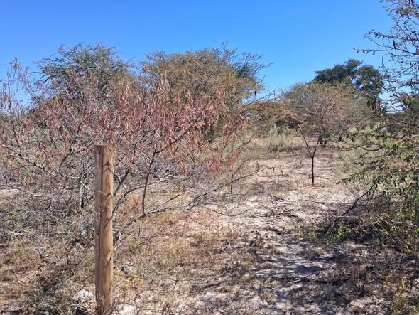 2000 Square Meters Plot,Okapuku Omuthiya photo 2