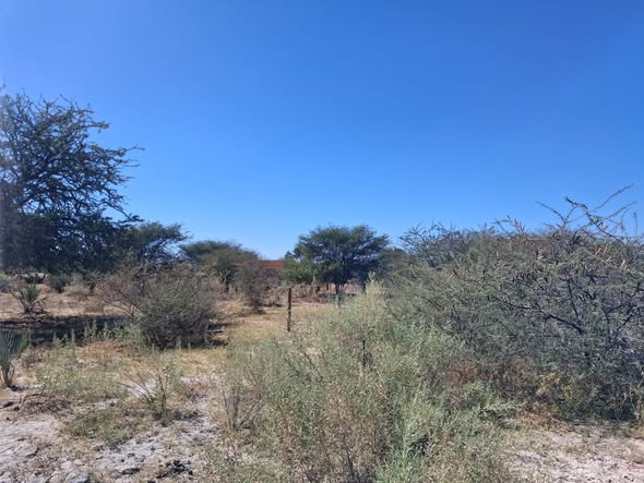 2000 Square Meters Plot,Okapuku Omuthiya photo 4