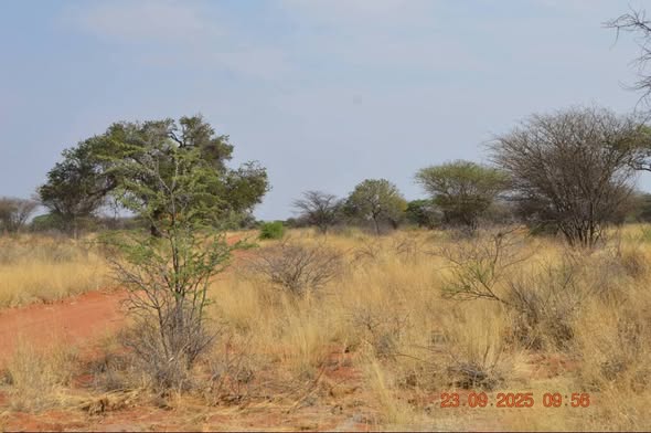 FARMS FOR SALE OUTSIDE OKAHANDJA HOCHFELD photo 3