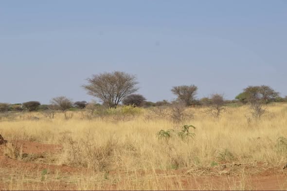 FARMS FOR SALE OUTSIDE OKAHANDJA HOCHFELD photo 4