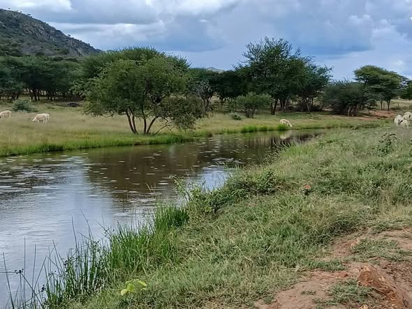 FARM FOR SALE BETWEEN OTAVI photo 3