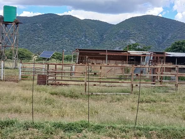 FARM FOR SALE BETWEEN OTAVI photo 5