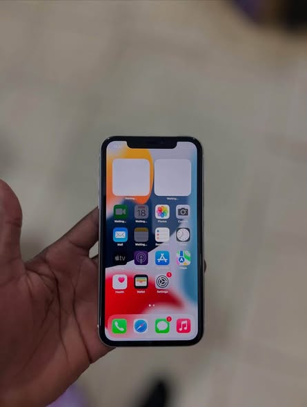 iPhone 11 photo 2