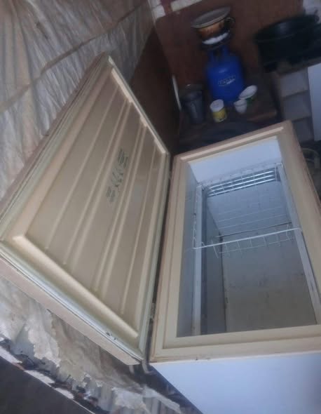 Gas freezer photo 2
