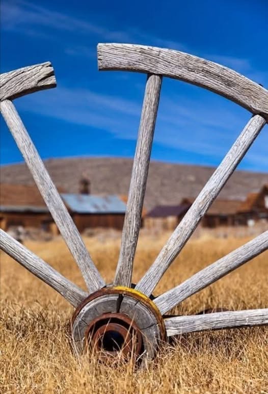 FARM FOR SALE, BETHANIE DISTRICT photo 1