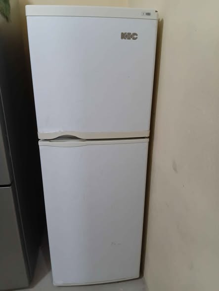Fridge photo 2