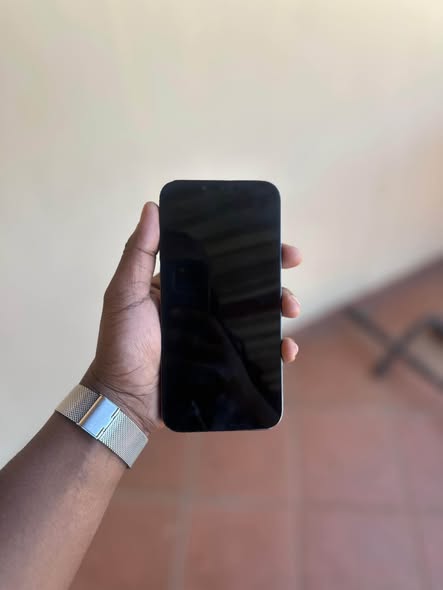 iPhone 13 pro max photo 3