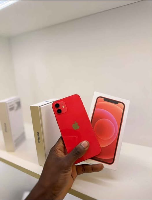 iPhone 12 256GB photo 1