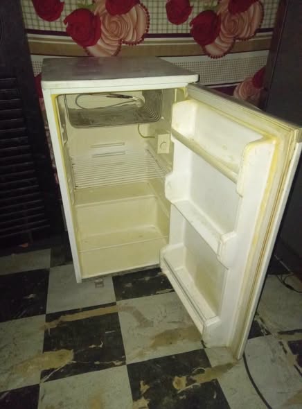 Big mini fridge photo 3