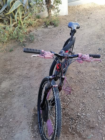 Scorpio bicycle photo 4
