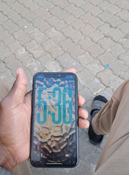 IPhone 11 photo 1