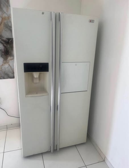 Samsung Icon double door fridge photo 1