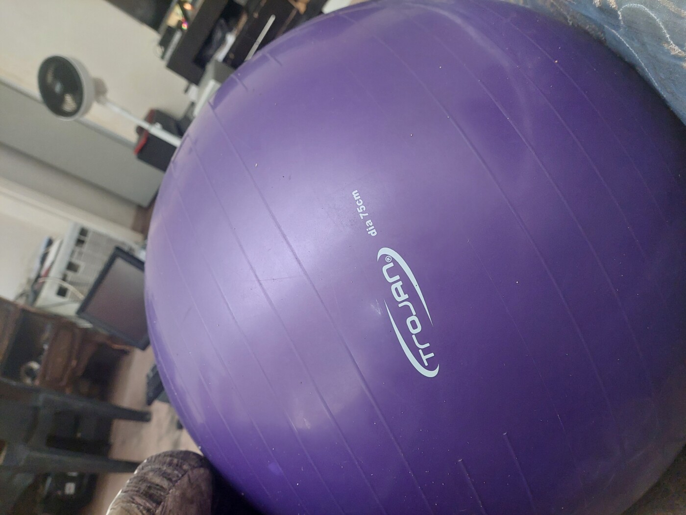Exercise ball TROJAN dia-75cm 0813155447 photo 1