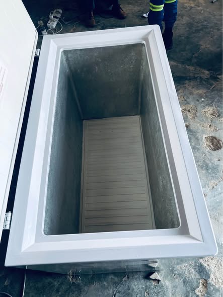 White Gas & Electricity Deep Freezer photo 5