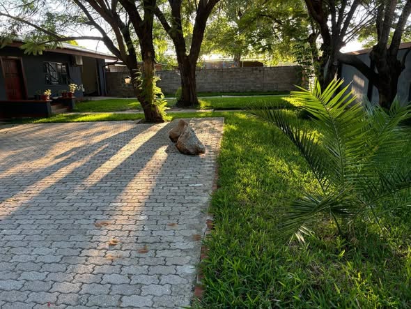 3 Bedroom House Available For Rent in Tutungeni photo 2