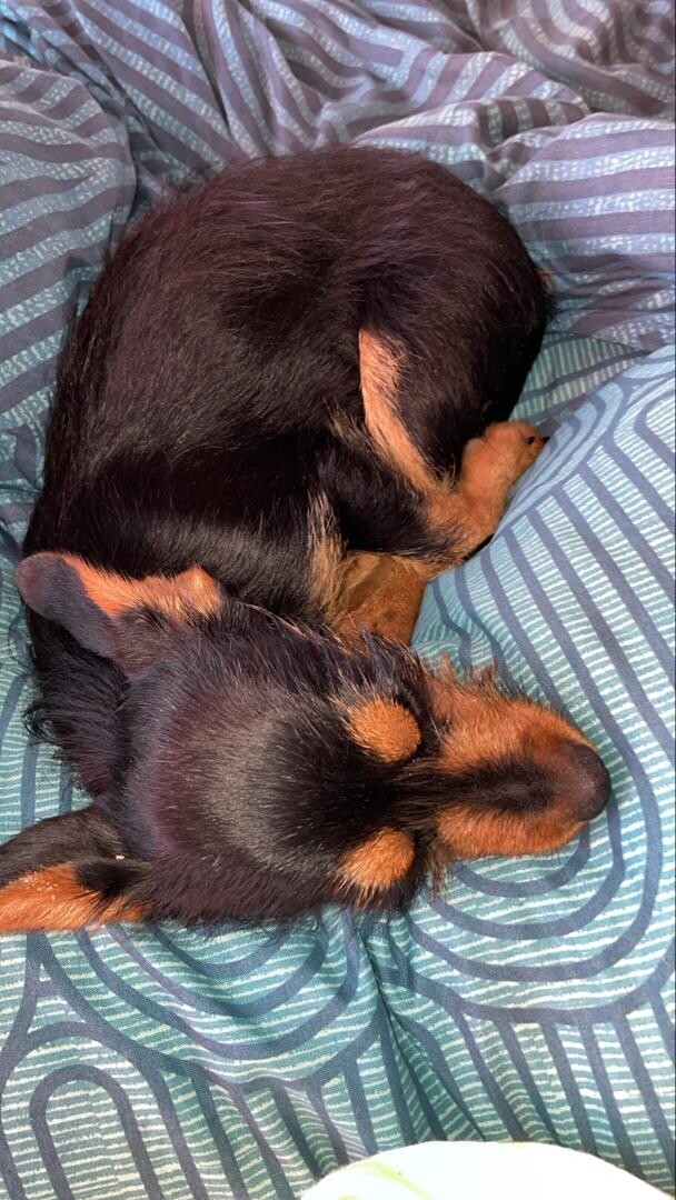 Looking for photo 3