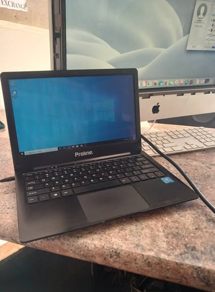 Proline V11 11 inches photo 2