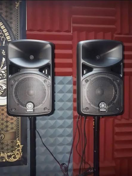 Selling 12inch Yamaha Speakers photo 1