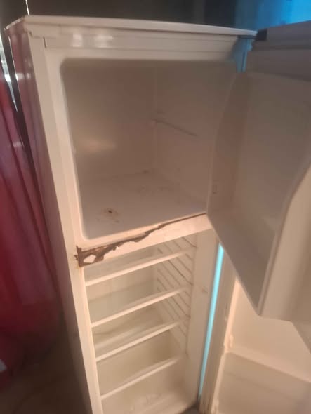 Fridge photo 1