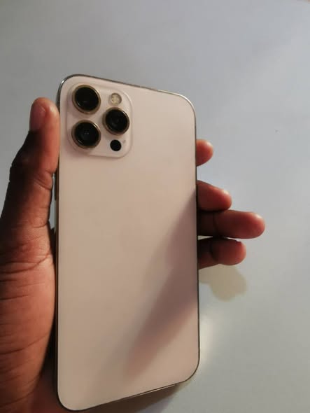 Iphone 12 pro max photo 1