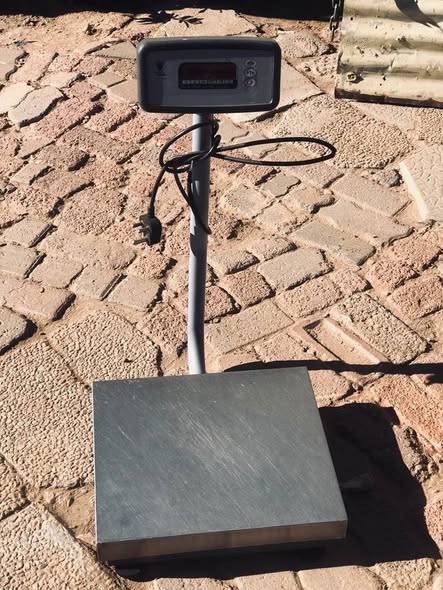 Scale photo 1
