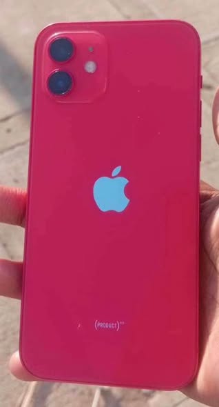 iPhone 12 photo 3