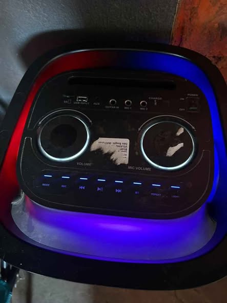 VolkanoX Paramount Dual Series 8" Party Speaker photo 2