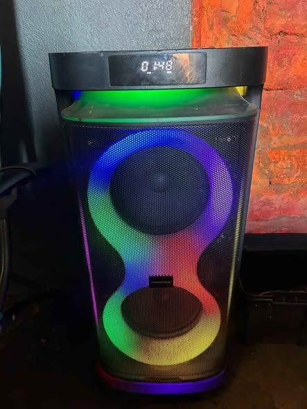 VolkanoX Paramount Dual Series 8" Party Speaker photo 1