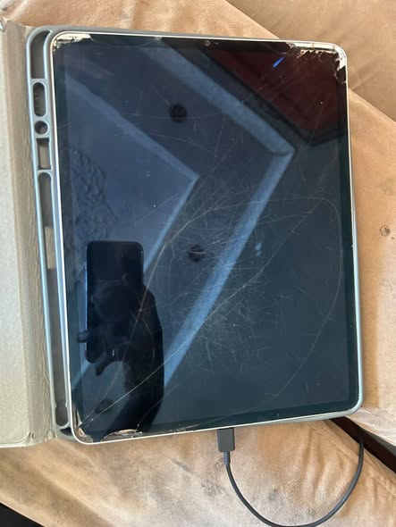 Ipad pro 12.9 inch 256 gb photo 4