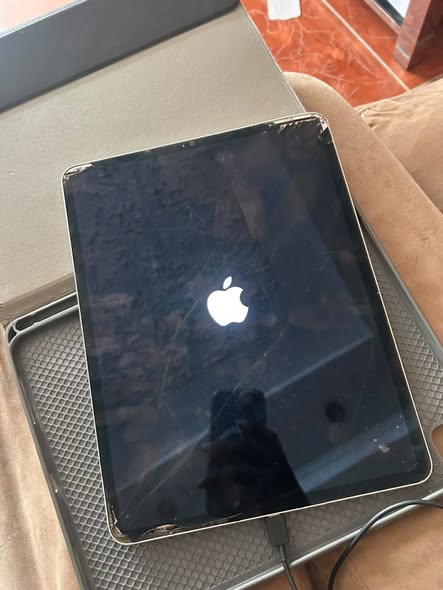 Ipad pro 12.9 inch 256 gb photo 1