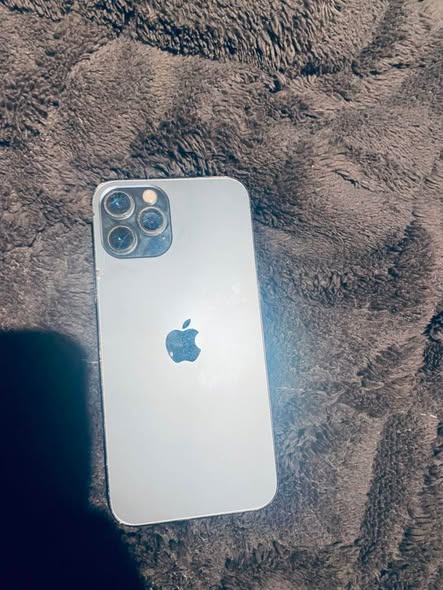 iPhone 12 photo 4