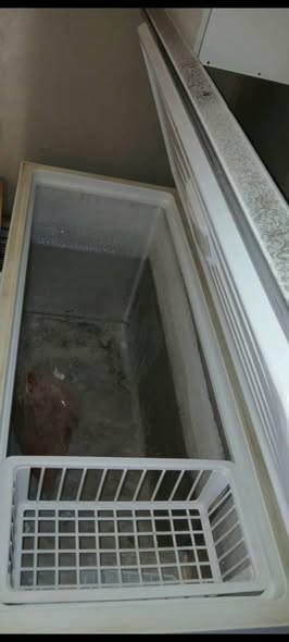 530litres deepfreezer photo 4