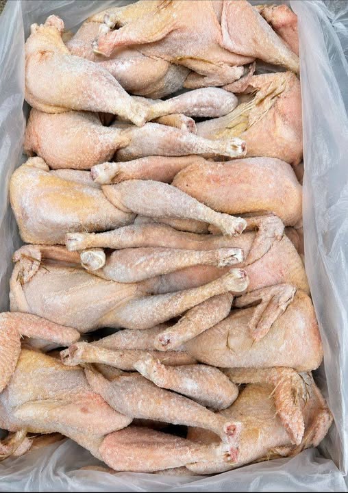 10 kg box of Marathon chicken photo 1