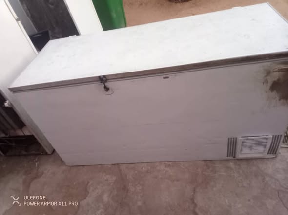 600L deep freezer photo 3