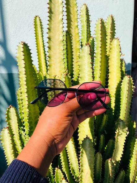 Photochromic glasses photo 3