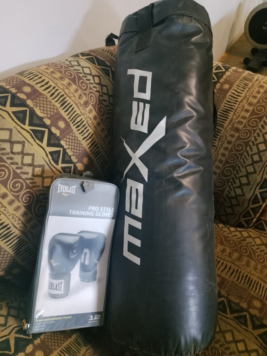 Everlast Pro 12oz training gloves and 32kg Maxed boxing bag. photo 1