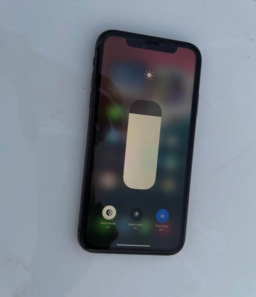 iPhone 11 photo 3