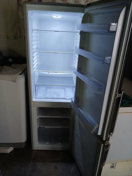 Kelvinator fridge photo 4
