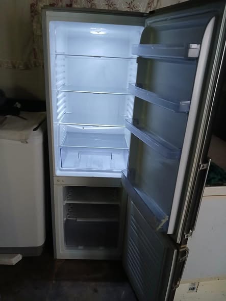 Kelvinator fridge photo 3