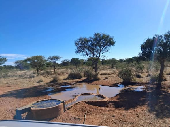 FARM FOR SALE OUTSIDE OKAHANDJA photo 3