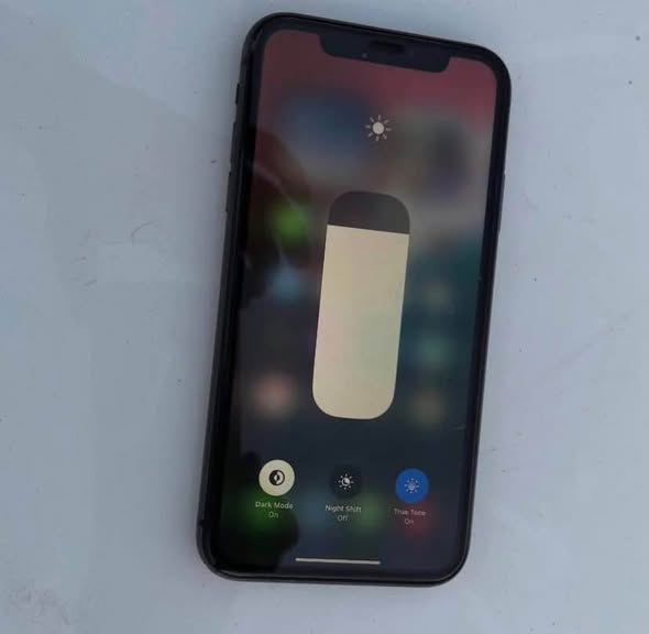 iPhone11 photo 2