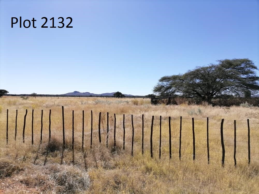 Two (2) PLOTS for SALE! A lot of Water! 50km from Tsumeb on the B1