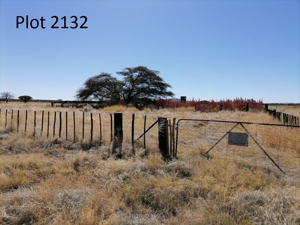 Two (2) PLOTS for SALE! A lot of Water! 50km from Tsumeb on the B1