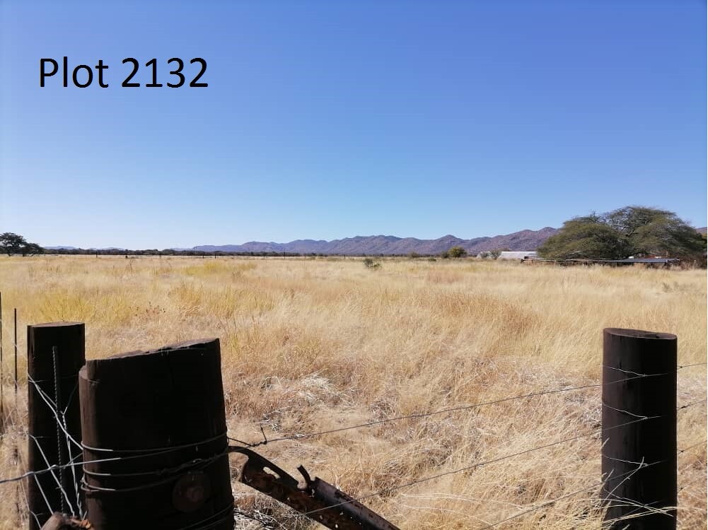 Two (2) PLOTS for SALE! A lot of Water! 50km from Tsumeb on the B1