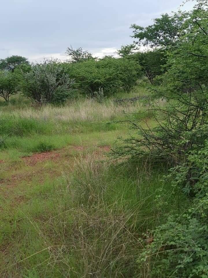 20 Hectares Plots For Sale for sale in Rehoboth Agricultural Plots