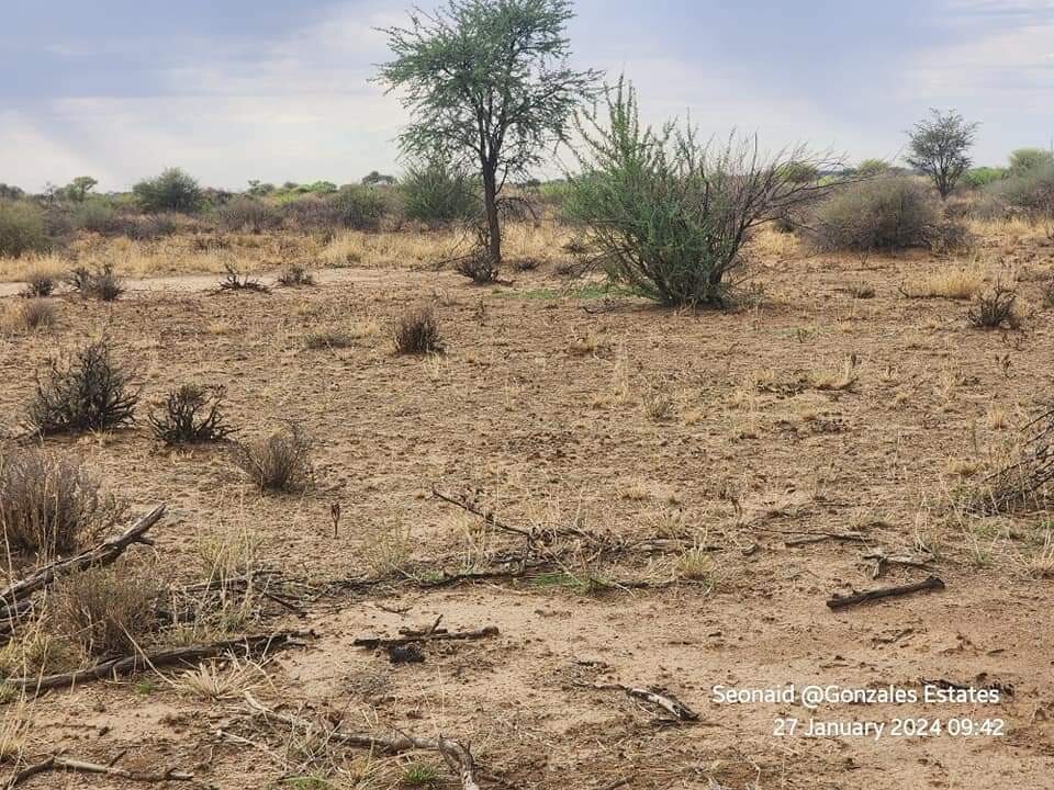 27 Hectares Plots For Sale for sale in Rehoboth Land Kalahari Deals